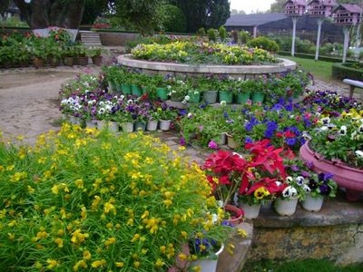 Vườn Hoa Đà Lạt - Bộ sưu tập các loài hoa