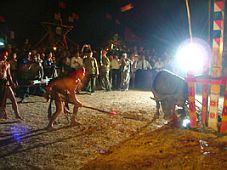 Tây Nguyên: Đặc sắc lễ hội đâm trâu