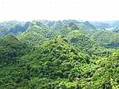 Huyện Cát Hải (Hải Phòng) bảo vệ nguồn tài nguyên rừng ngập mặn: Phát triển du lịch sinh thái