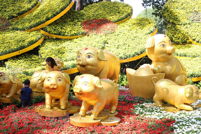 Hội hoa Xuân Kỷ Hợi tại TP Hồ Chí Minh mở cửa từ ngày 31/1