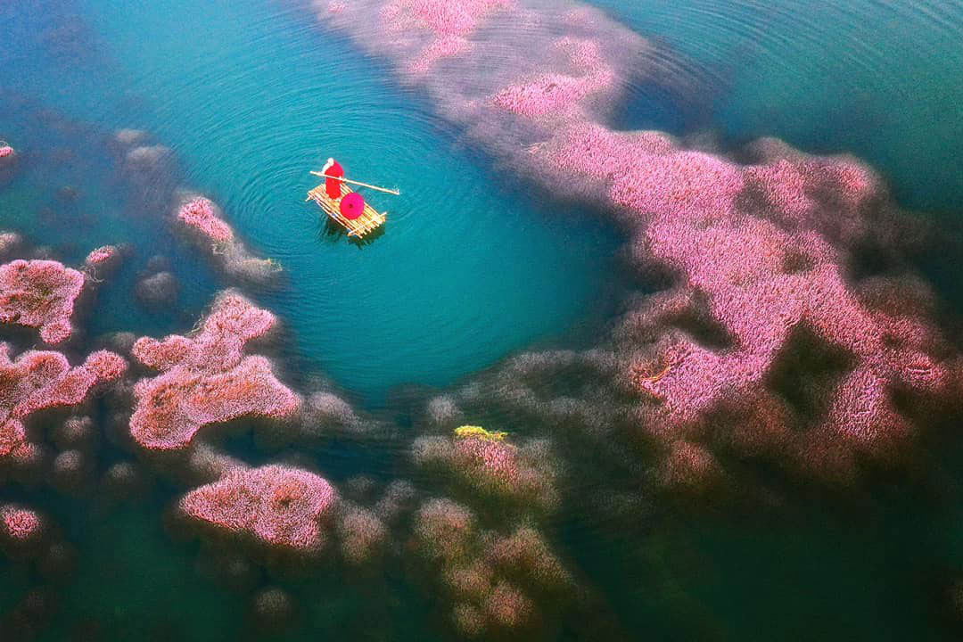 Chiêm ngưỡng vẻ đẹp lãng mạn hồ tảo hồng ở B’lao – Lâm Đồng