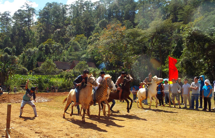 Sôi nổi Giải đua ngựa không yên dưới chân núi Langbiang