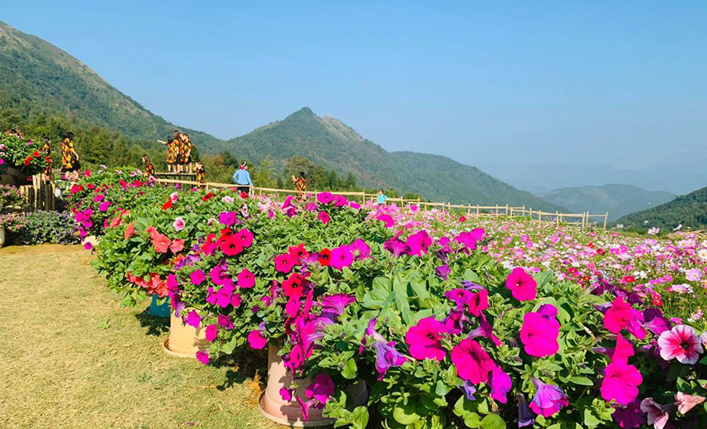 Trải nghiệm vườn hoa tuyệt đẹp giữa đại ngàn Cao Sơn Lâm Đồng