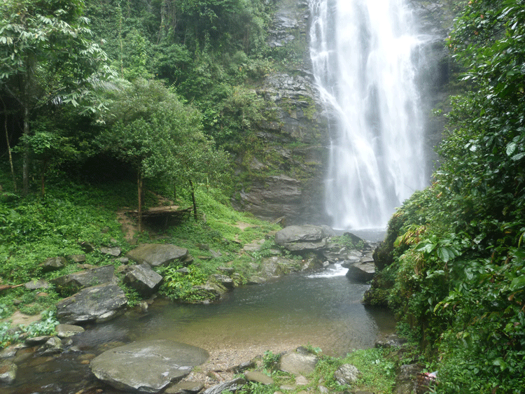 Vườn quốc gia Pù Mát (Nghệ An) thực hiện thu phí tham quan tại các điểm du lịch