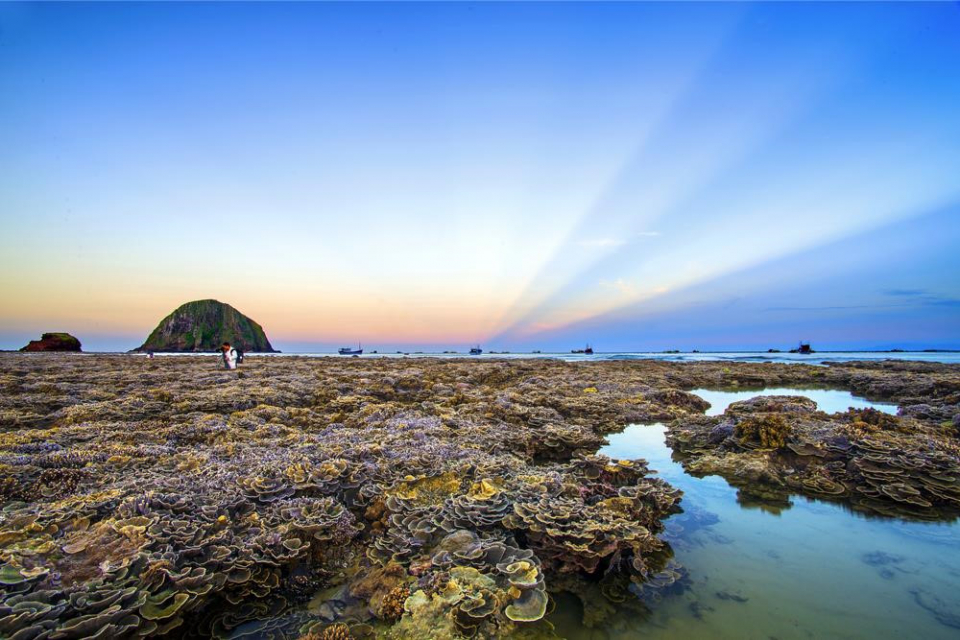 Thú vị ngắm san hô trên cạn đẹp ảo diệu tại Phú Yên 