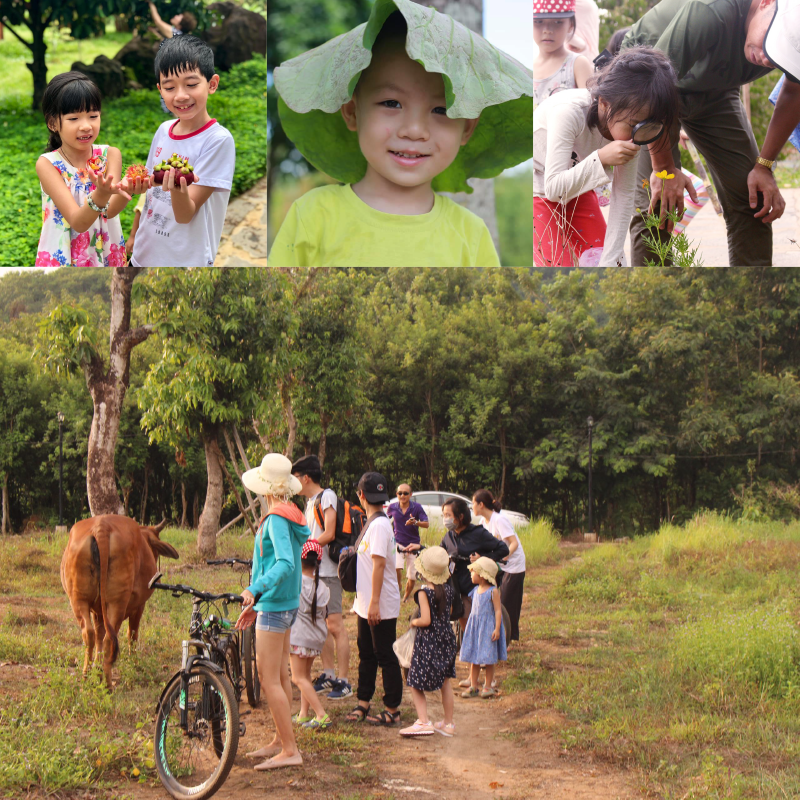 Hè về Đồng Nai - trải nghiệm tour việc nhà nông dành cho trẻ 