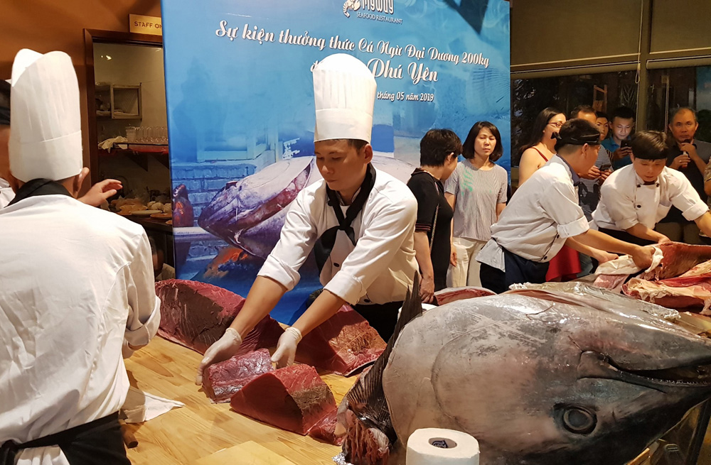 Trình diễn ẩm thực cá ngừ đại dương Phú Yên tại Hà Nội 