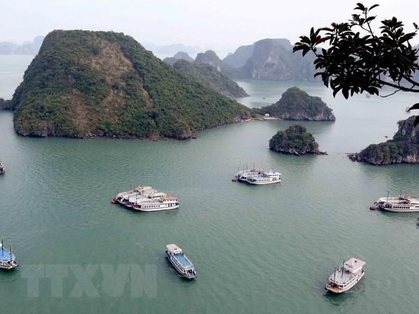 Quảng Ninh chấn chỉnh vi phạm trong lĩnh vực dịch vụ du lịch 