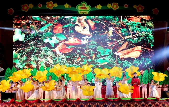 Quảng Ninh: Lễ hội Trà hoa vàng được tổ chức vào tháng 2/2020