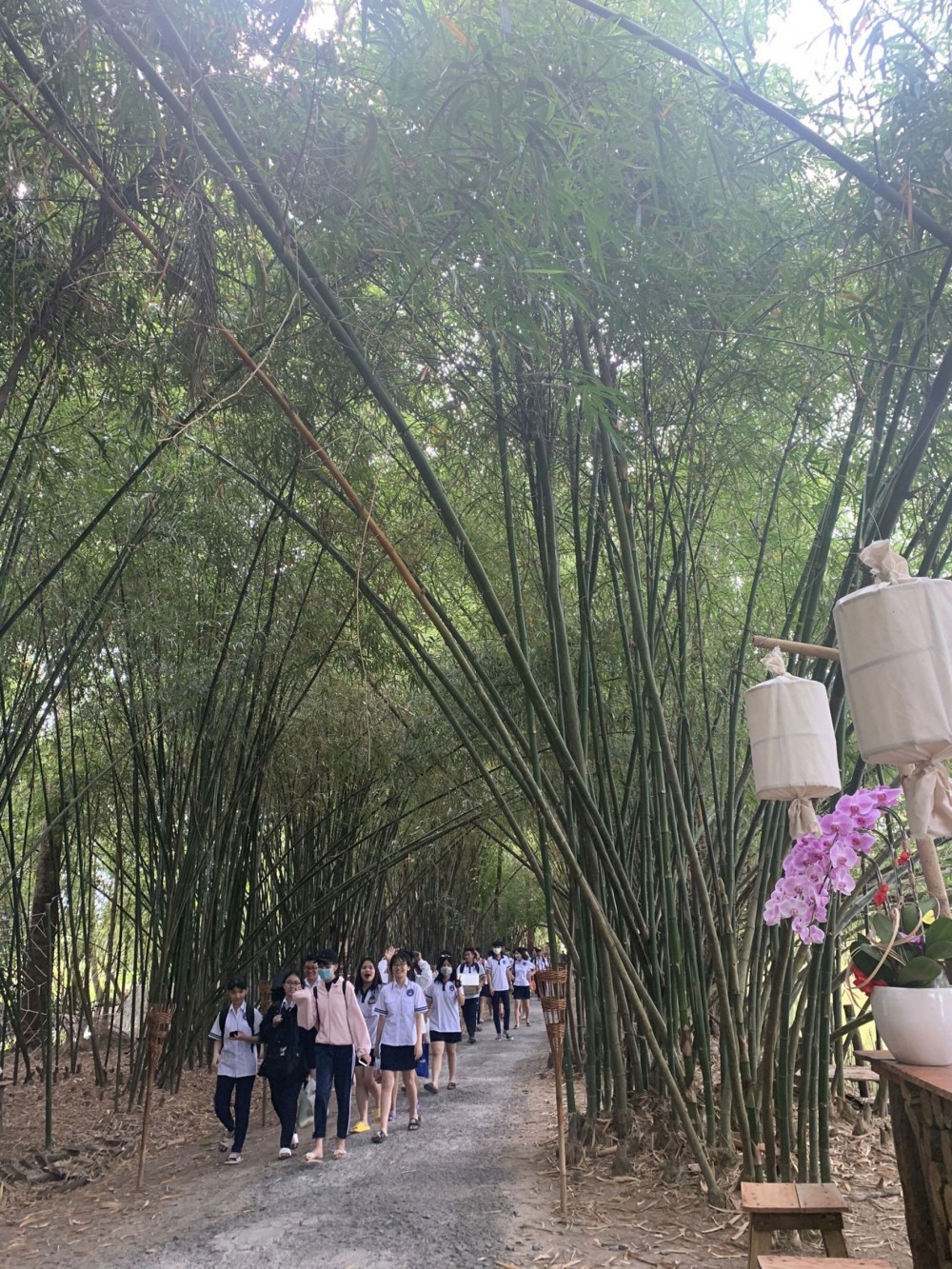 Vườn Tre ở Phú Xuân (Hậu Giang)