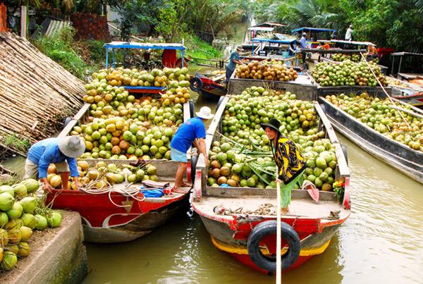 Chợ nổi Dừa: Nét đẹp du lịch bên dòng sông Thom (Bến Tre)