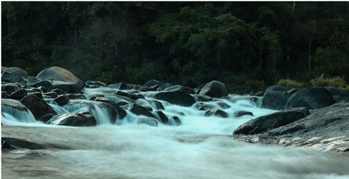 Ninh Thuận: Giải pháp phát triển bền vững du lịch sinh thái cộng đồng Vườn quốc gia Phước Bình