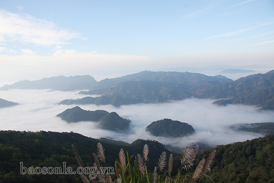 Biển mây trên đỉnh Co Mạ, Sơn La