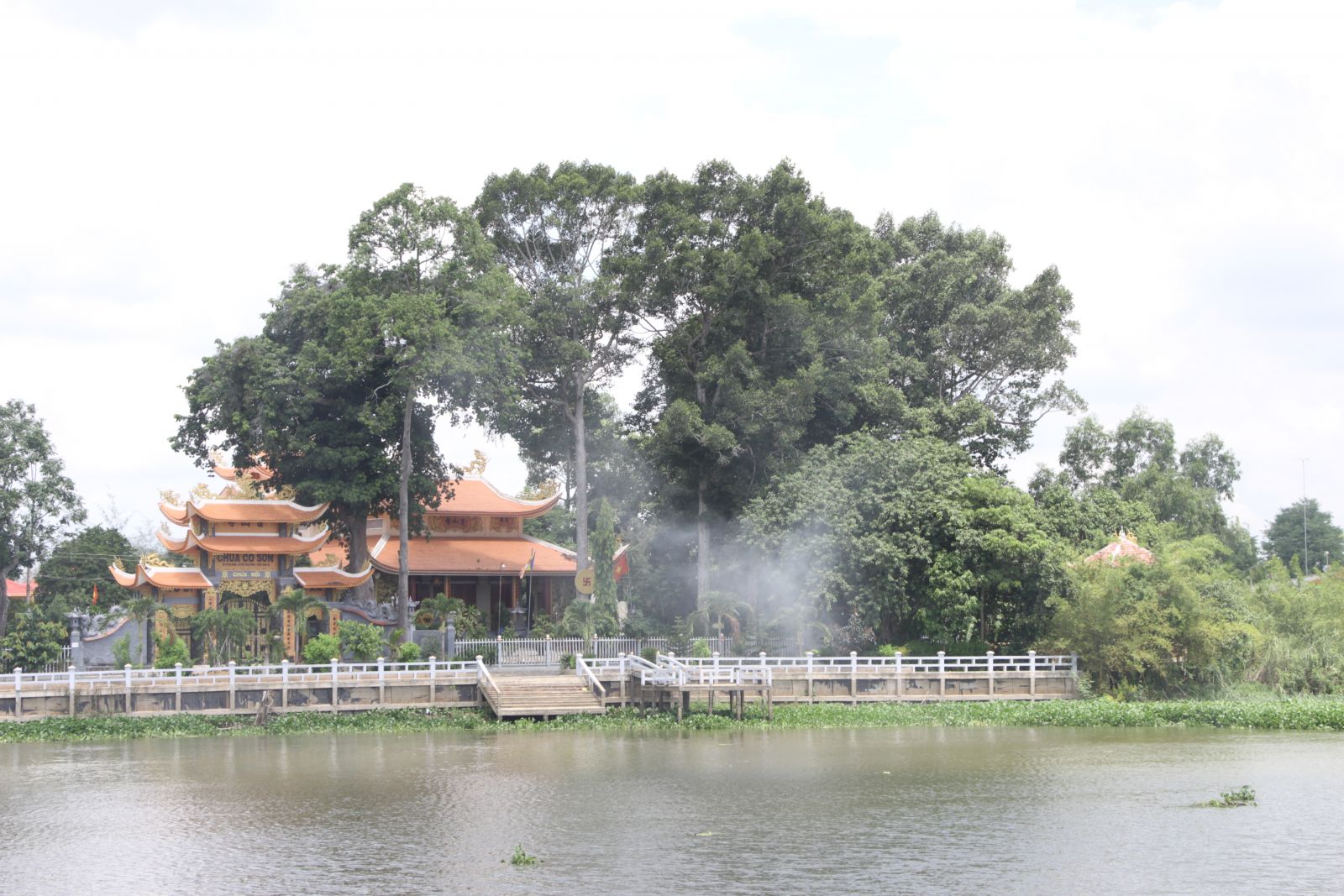 Ngôi chùa cổ dưới tán cây di sản