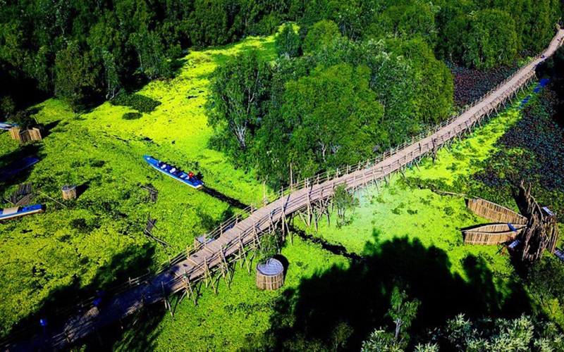 Khách du xuân rừng tràm Trà Sư, check-in cầu tre dài nhất Việt Nam