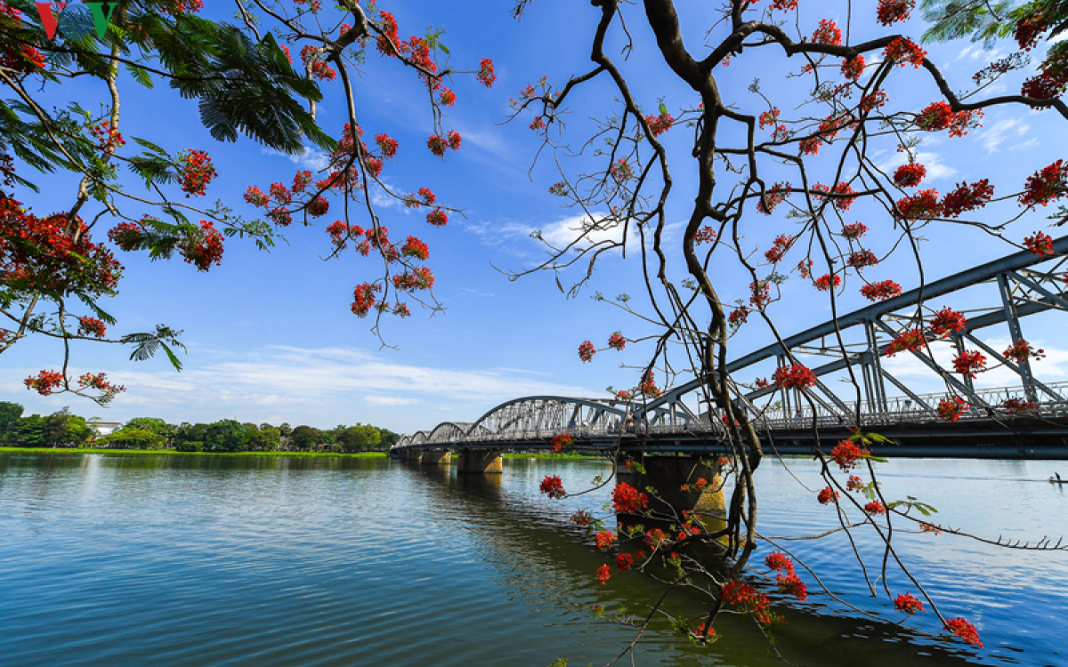 Bình Thuận: Khảo sát, học tập kinh nghiệm về City tour