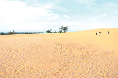 Phiêu lưu cùng “đồi cát bay” Mũi Né, Bình Thuận