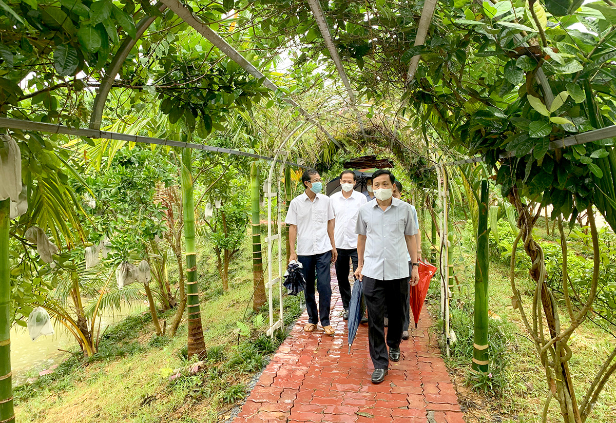 Lãnh đạo tỉnh Tuyên Quang kiểm tra kinh tế trang trại gắn với hoạt động du lịch