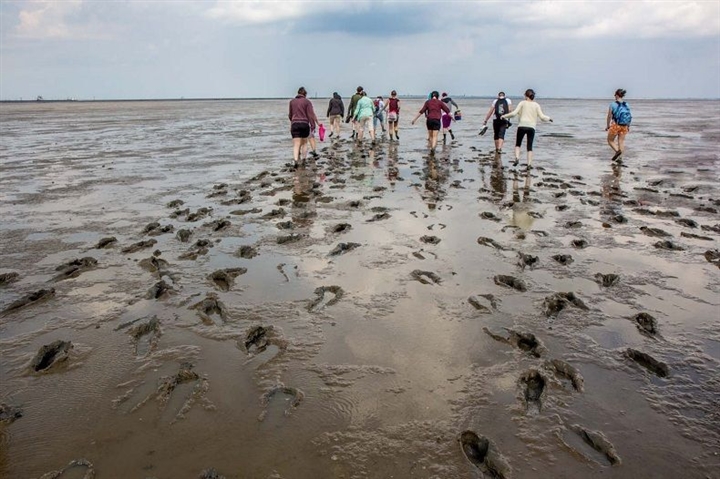 Biển Wadden - Bãi biển biến mất hai lần một ngày