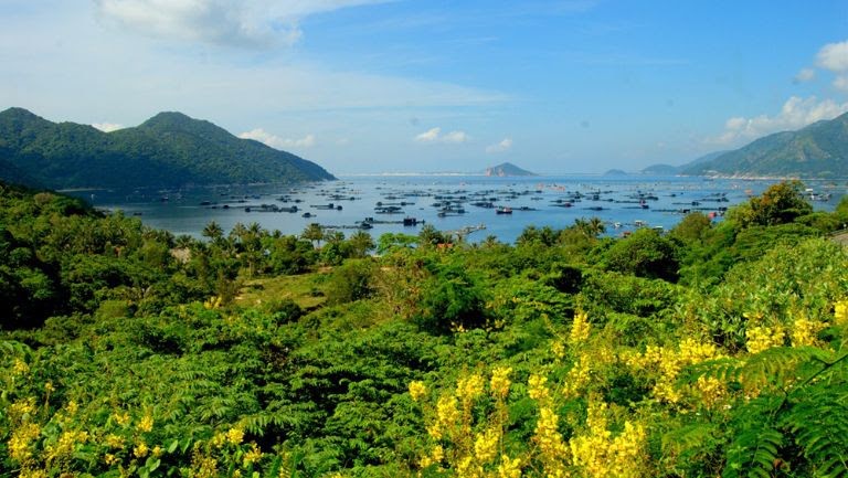 Khám phá Phú Yên - Vùng đất “hoa vàng cỏ xanh” 