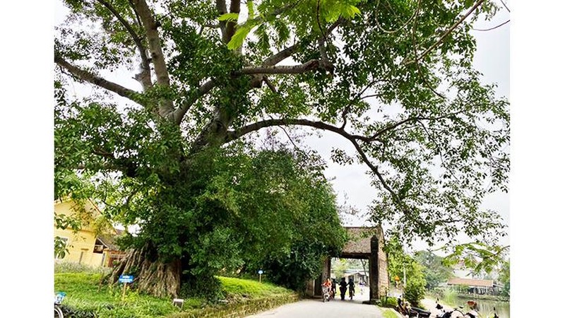 Hà Nội: Cuối tuần về làng cổ Đường Lâm