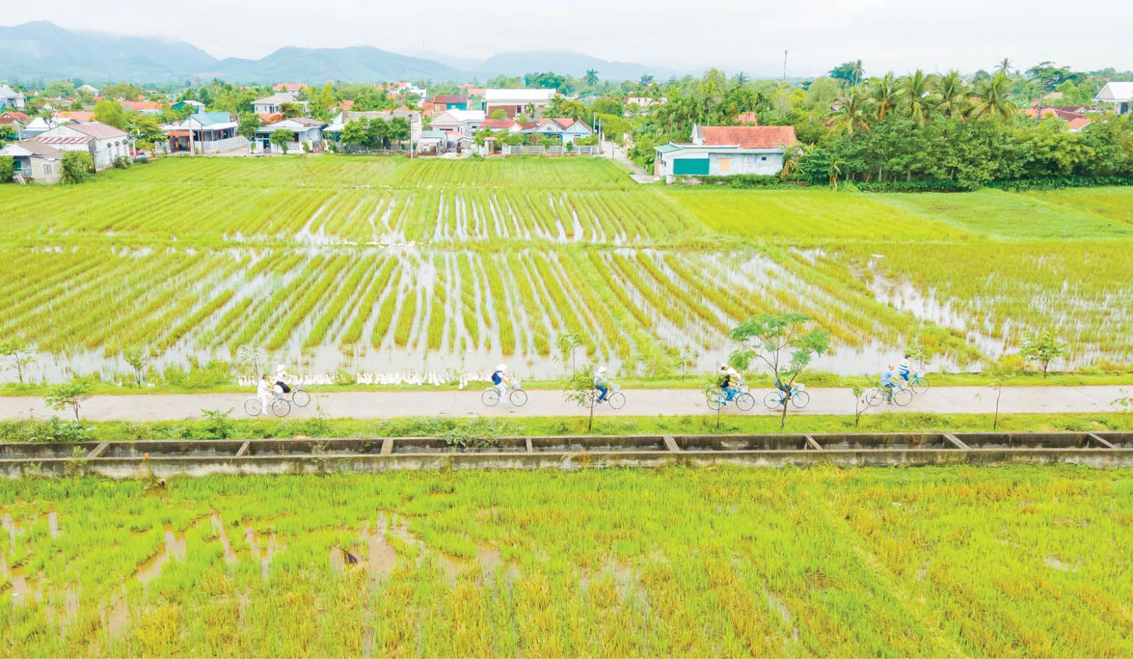 Thừa Thiên Huế: Hương Trà cần chuyên nghiệp hóa du lịch