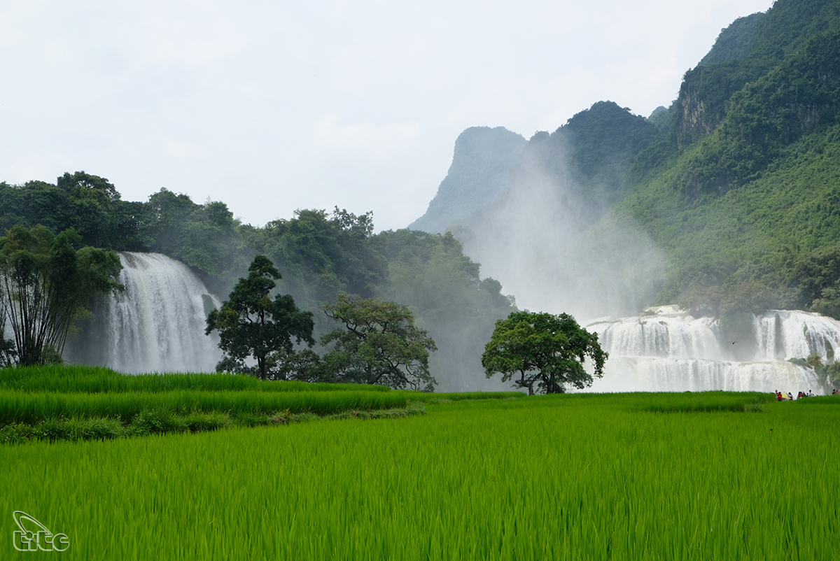 8 cung đường trekking tuyệt đẹp ở Việt Nam theo đề xuất của Lonely Planet