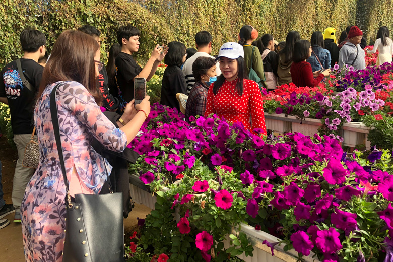 Lâm Đồng: Du lịch những làng hoa ở Festival Hoa Đà Lạt 2022