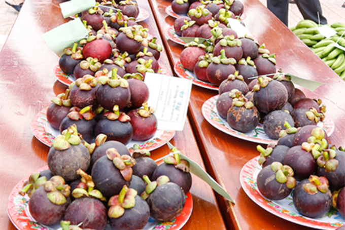 Khánh Sơn ( Khánh Hòa): Dự kiến tổ chức Lễ hội trái cây từ ngày 4 đến 7-8