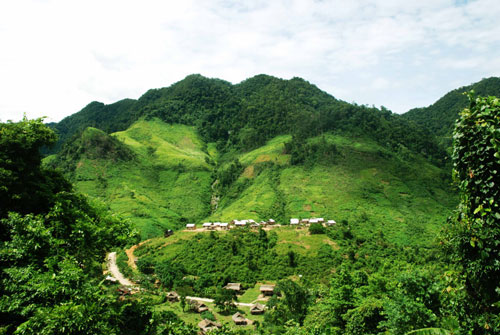 Hình ảnh rừng Minh Hóa 
