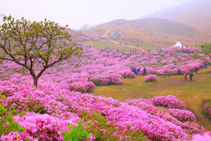 Đến Hàn Quốc khám phá cảnh đẹp ở quê hương HLV Park Hang Seo -  