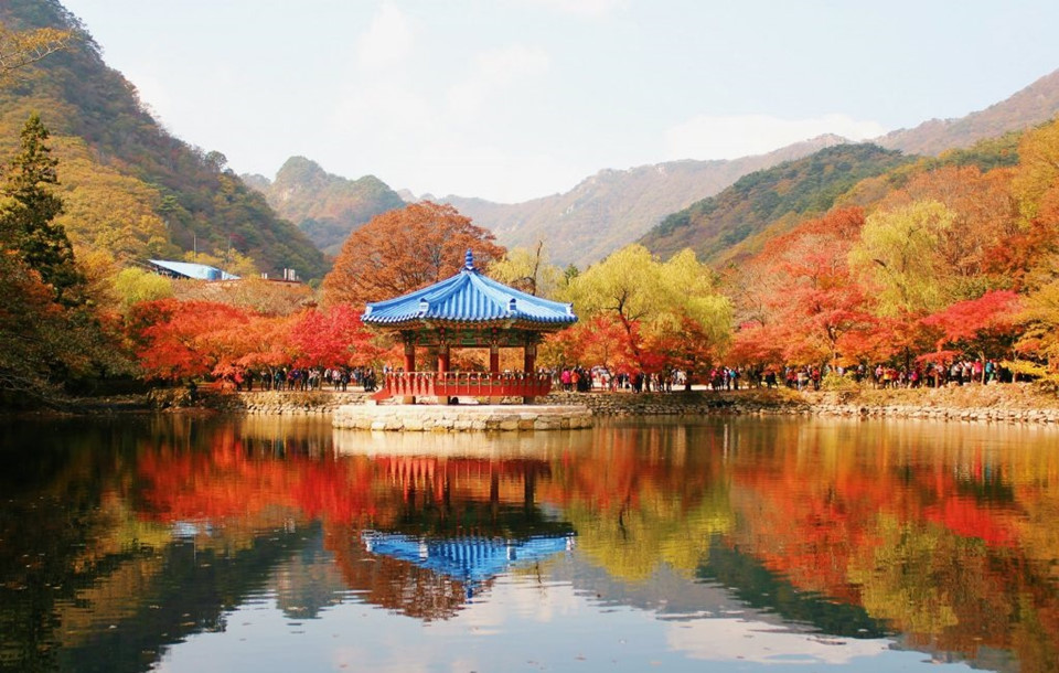 8 trải nghiệm không thể bỏ lỡ khi đến Hàn Quốc mùa thu - Đài Phát Thanh và  Truyền Hình Lạng Sơn