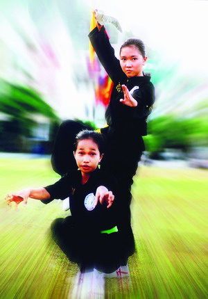50 đoàn võ thuật quốc tế dự Festival Tây Sơn-Bình Định