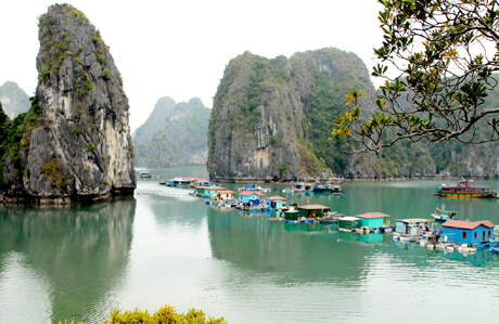 Vung Viêng (Quảng Ninh) - Điểm du lịch hấp dẫn