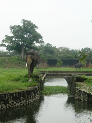 Vườn Cơ hạ - Sẽ là không gian mới lạ phục vụ du khách trong dịp Festival Huế 2012