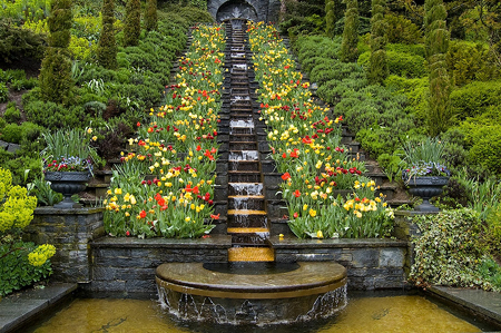 Khám phá đảo hoa Mainau (Đức)