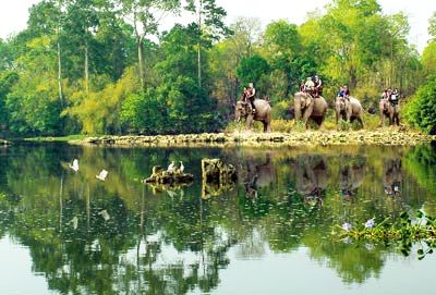 Tham quan vườn quốc gia Yok Đôn – Đắk Lắk