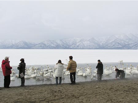 Quyến rũ mùa đông ở Hokkaido (Nhật Bản) 