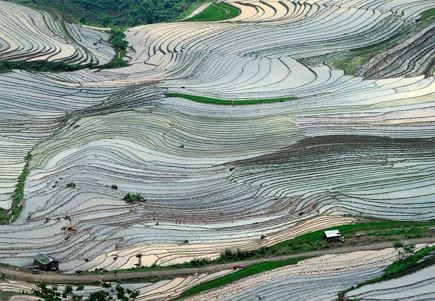 Lên A Lù (Lào Cai) ngắm ruộng bậc thang mùa nước đổ 