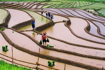 Hội nhiếp ảnh TP.Hồ Chí Minh và Công ty Vietravel phát động cuộc thi “Ảnh đẹp du lịch” năm 2011