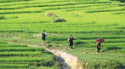 Vẻ đẹp thiên phú vùng cao Sa Pả ( Sa Pa) - Lào Cai