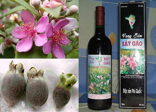 Rượu sim rừng - Đặc sản Phú Quốc (Kiên Giang)
