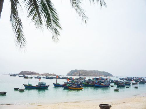 Khám phá đảo Hòn Khô – Bình Định
