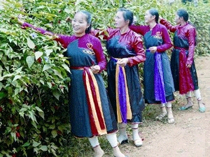 Xã Kim Phú (Tuyên Quang): Bảo tồn và quảng bá những câu hát Sình ca 