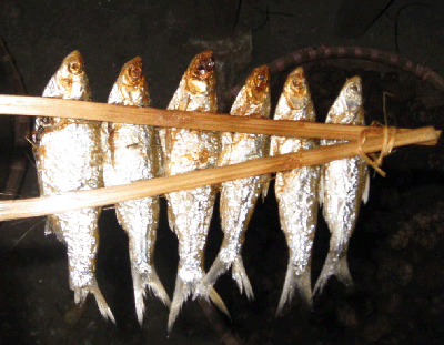 Thưởng thức cá nướng Ba Bể - Bắc Kạn  