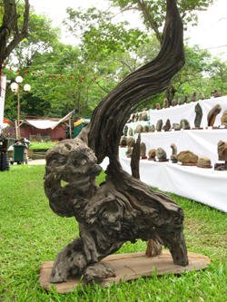 Đồng Tháp: Tổ chức Lễ hội sinh vật cảnh và thương mại Đồng bằng sông Cửu Long năm 2010 