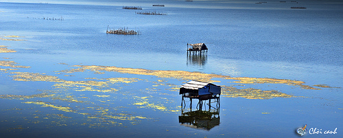 Biển Vinh Thanh (Huế): Một lựa chọn du lịch hè hấp dẫn