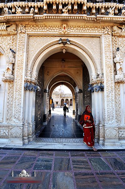 Đến Ấn Độ thăm chùa Chuột 