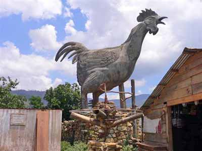 Về thăm làng gà ở Lâm Đồng