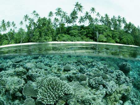 Solomon (Papua New Guinea): Quần đảo thần tiên